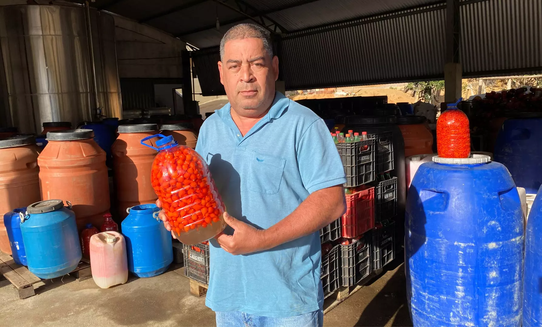 Pimenta em região fria, um empreendimento que cresce em Alto Jucu